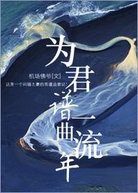 为君愁歌词