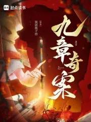 九章奇案百度百科