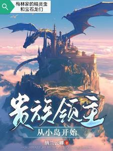 贵族领主从小岛开始百度百科