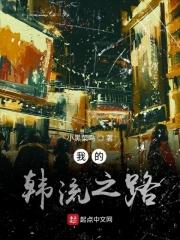 我的韩流之路免费阅读